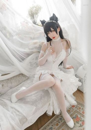 烈火战马电视剧免费全集在线观看