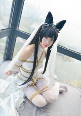 老司机av